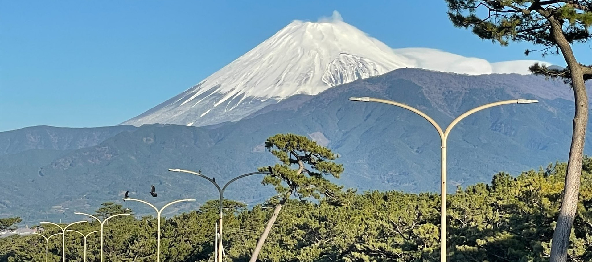 シラカベ歯科医院