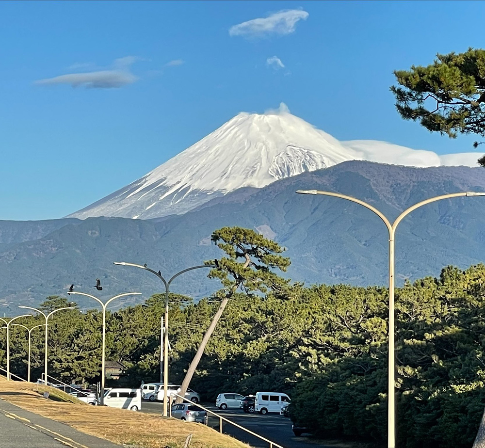 シラカベ歯科医院